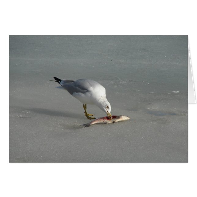 Manger du poisson (Devant horizontal)