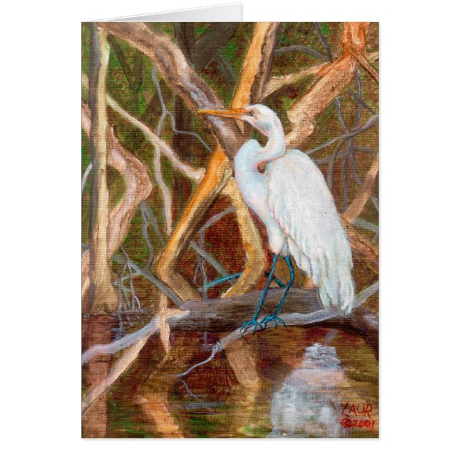 MangroveNo1Egret (Devant)
