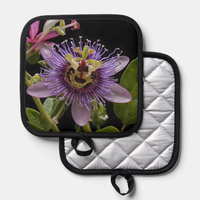 Manique Beauté énigmatique : la fleur de la passion pourpr (Recto/Verso)