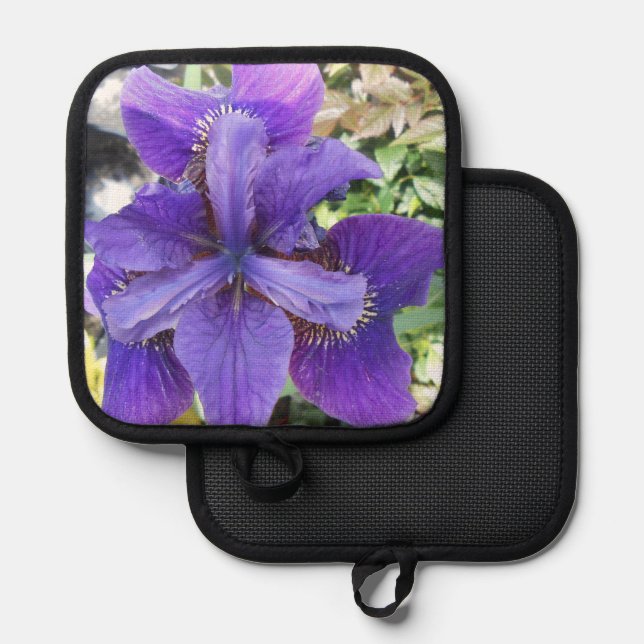 Manique Brandeis (Recto/Verso)