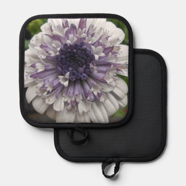 Manique Brett (Recto/Verso)