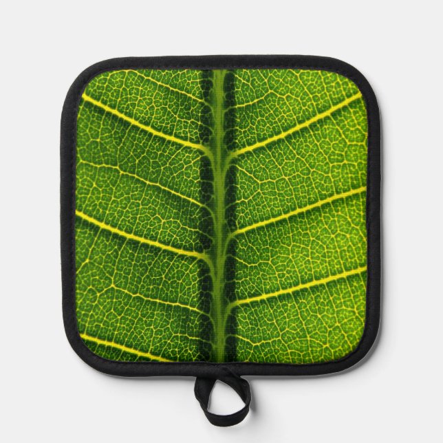 Manique Feuille verte (Recto)