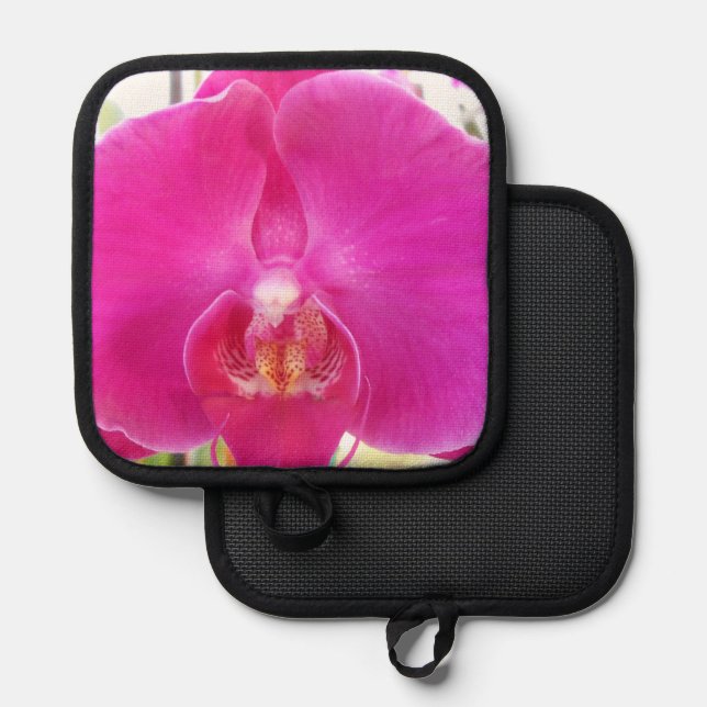 Manique Guda (Recto/Verso)