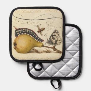 Manique Hoefnagel Vintage Poire & Insectes 1500 Renaissanc