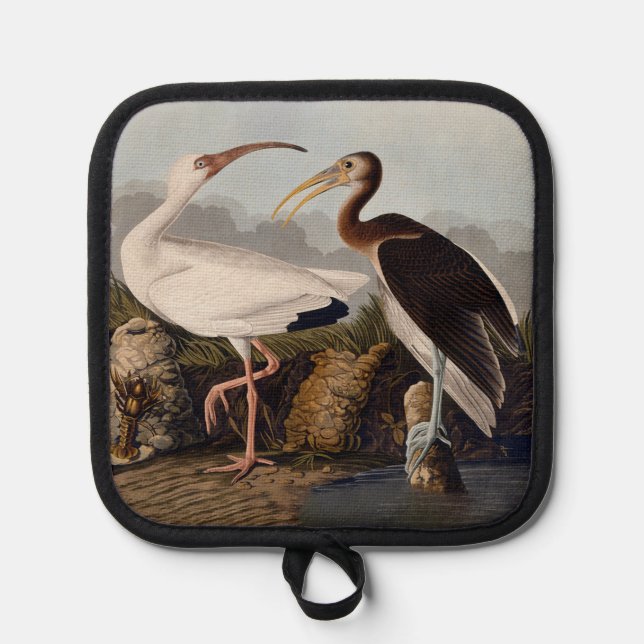 Manique Impression d'oiseau Ibis blanc de John James Audub (Recto)