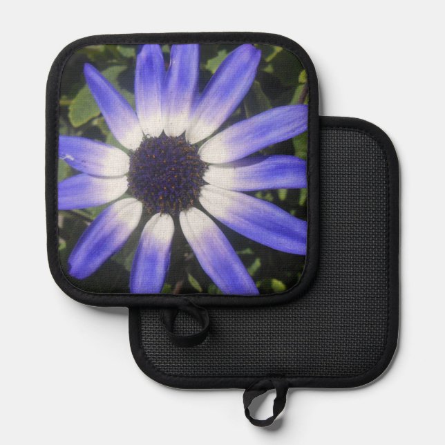 Manique Pompeia (Recto/Verso)