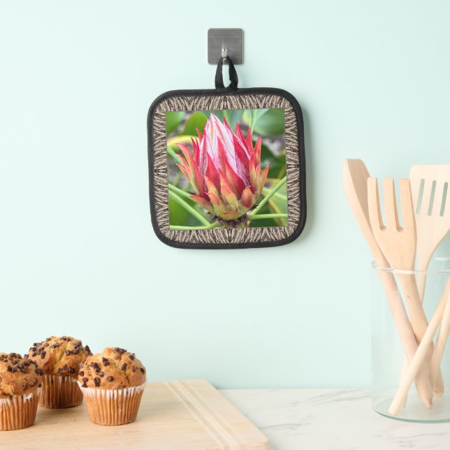 Manique Porte-pot avec Protea étonnant (In situ (suspendu))