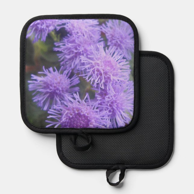 Manique Vistesse (Recto/Verso)