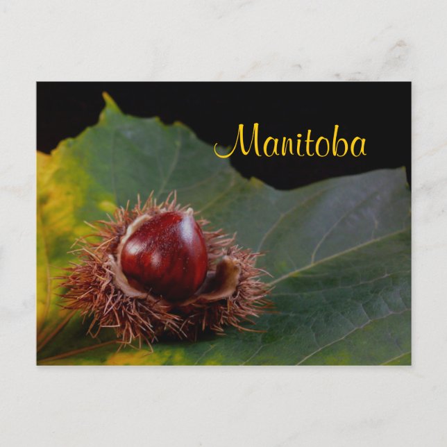 Manitoba, Carte postale de feuille d'automne avec  (Devant)