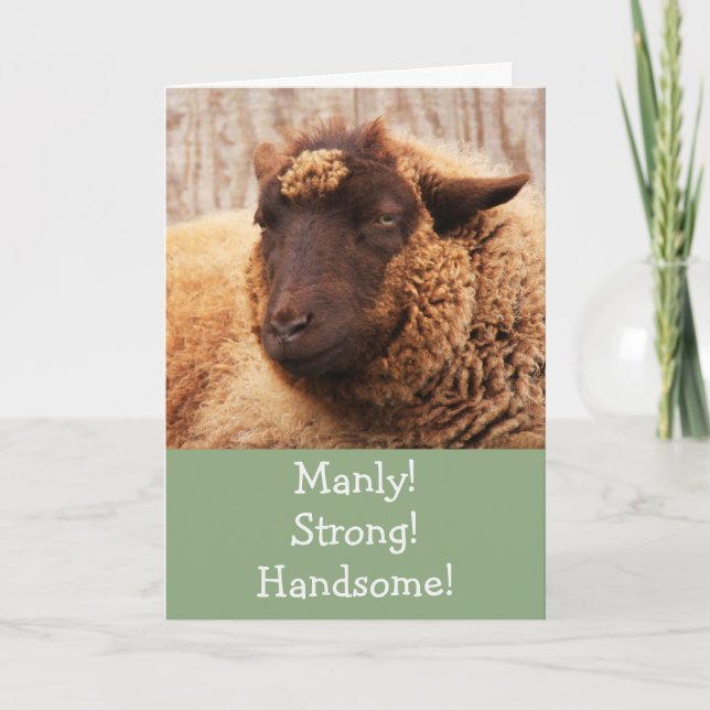 Manly Sheep Carte d'anniversaire (Devant)
