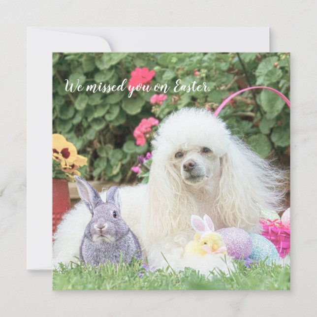 Manque toi sur carte plate de chien caniche de Pâq (Devant)