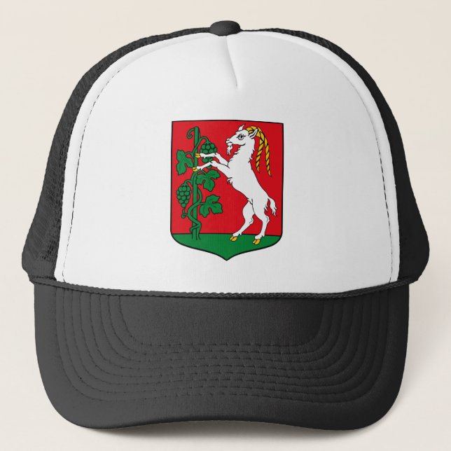 Manteau de Lublin de casquette de bras (Devant)