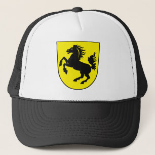 Manteau de Stuttgart de casquette de bras