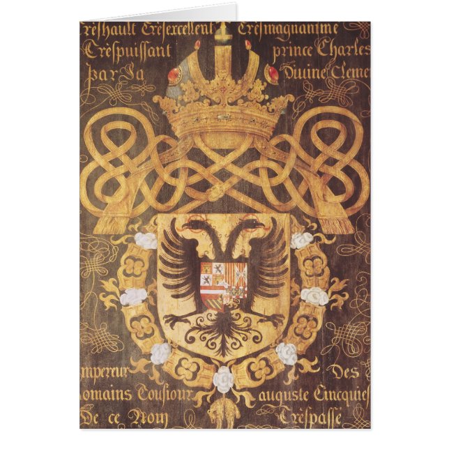 Manteau des bras de Charles V du 23ème chapitre (Devant)