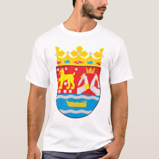 Manteau du sud de la Finlande de T-shirt de bras