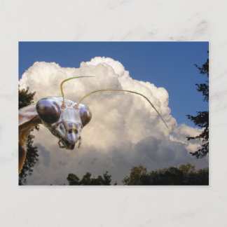 Mantis et Cloud ~ carte postale