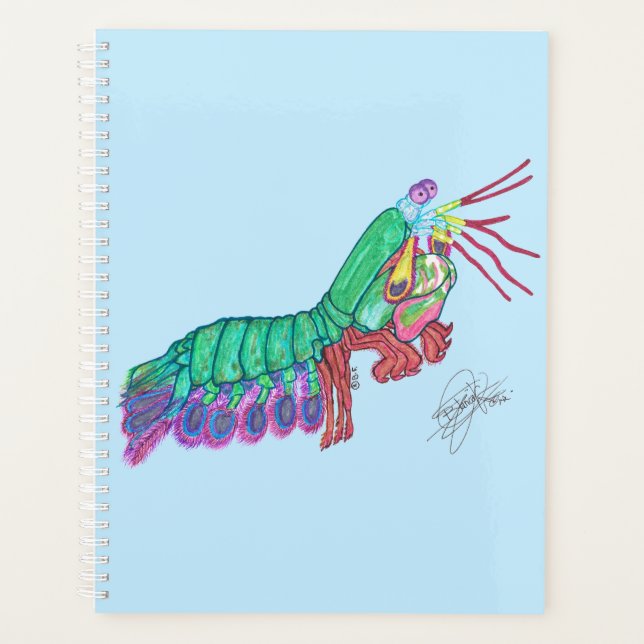 MANTIS SHRIMP (Devant)