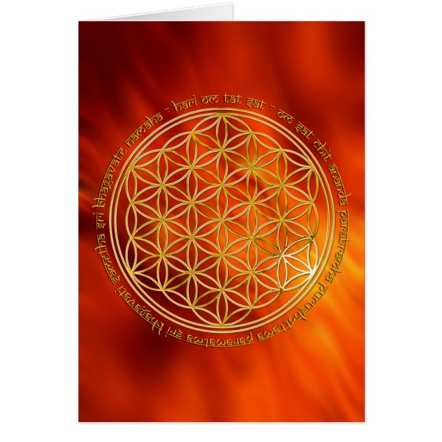 Mantra Moola / Blume Des Lebens | feu rouge (Devant)