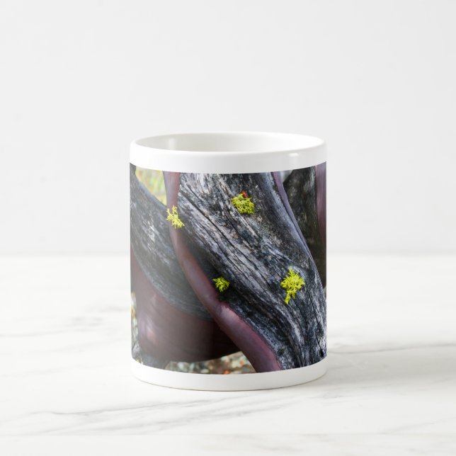 Manzanita Mug (Centre)
