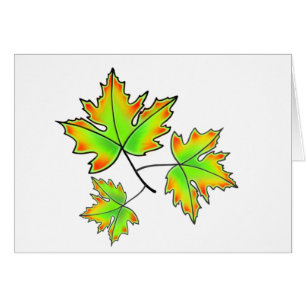 Maple Leaf