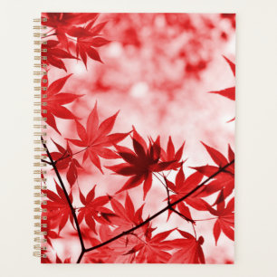 Maple Trees Design Feuille
