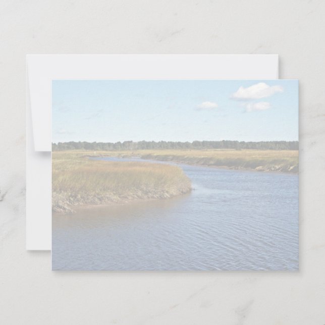 Marais de Scarborough (eau salée) Maine (Devant)