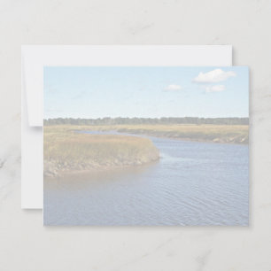 Marais de Scarborough (eau salée) Maine