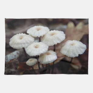 Marasmius rotula Champignons Serviette de thé