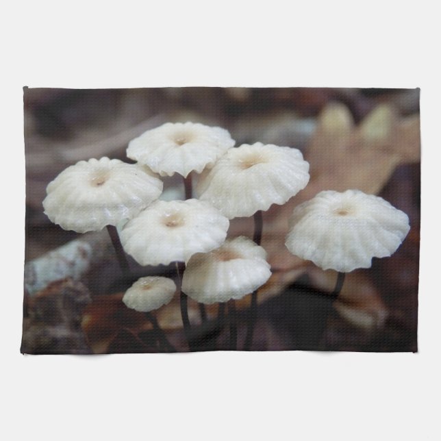 Marasmius rotula Champignons Serviette de thé (Horizontal)