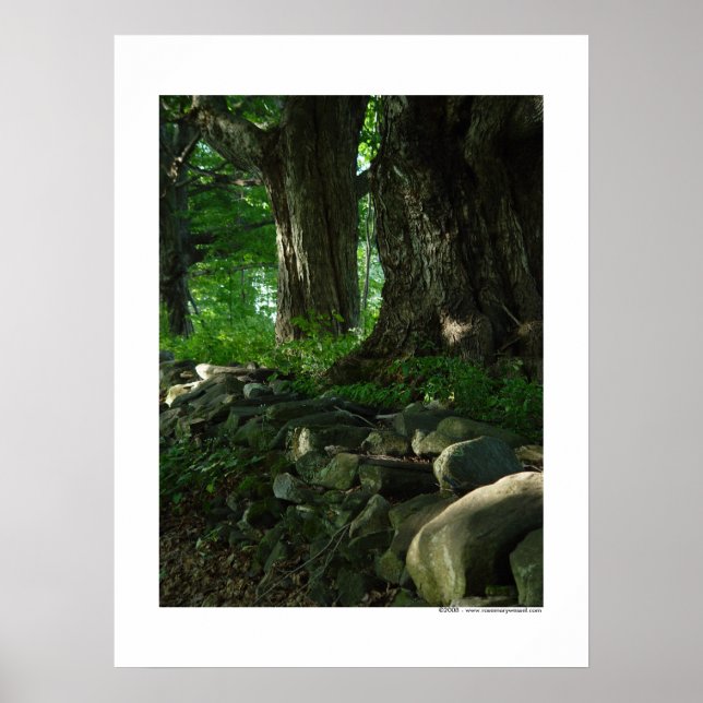 March of the Maples Poster (Devant)
