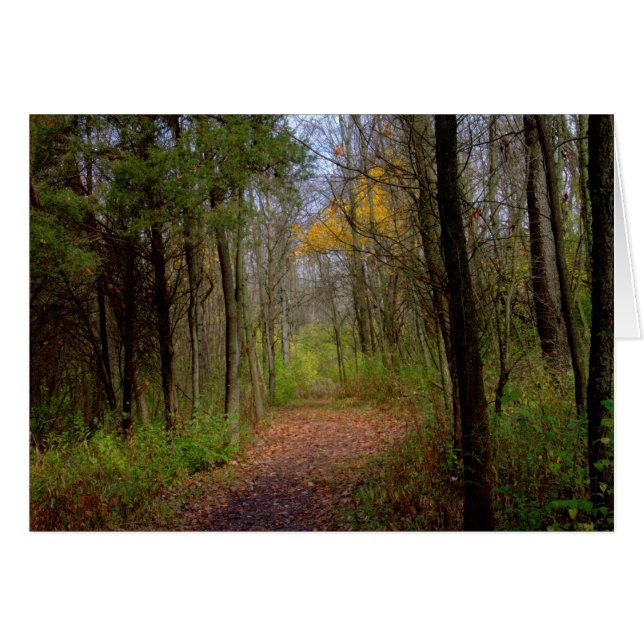 Marche À Carriage Hill Preserve #31 (Devant horizontal)