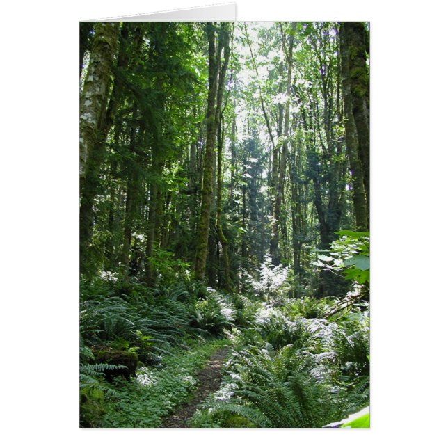 Marche forestière (Devant)