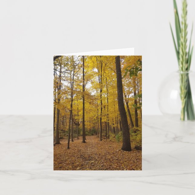 marcher dans les bois carte de voeux (Devant)