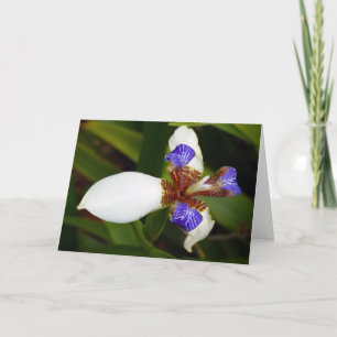 "Marcher Iris." Carte de vœux