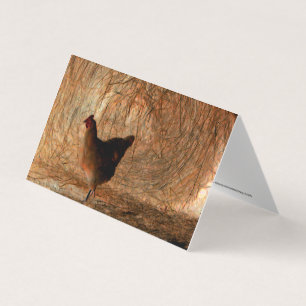 "Marcher" - Numériquement photo améliorée poulet e