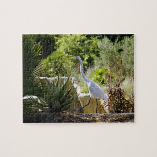 Marcher sur By (Great Egret) puzzle