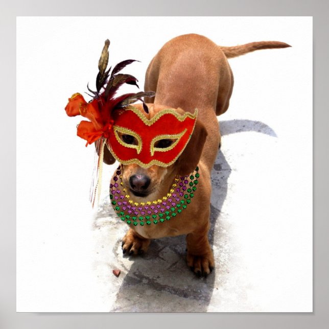 Mardi Gras Dachshund poster (Devant)