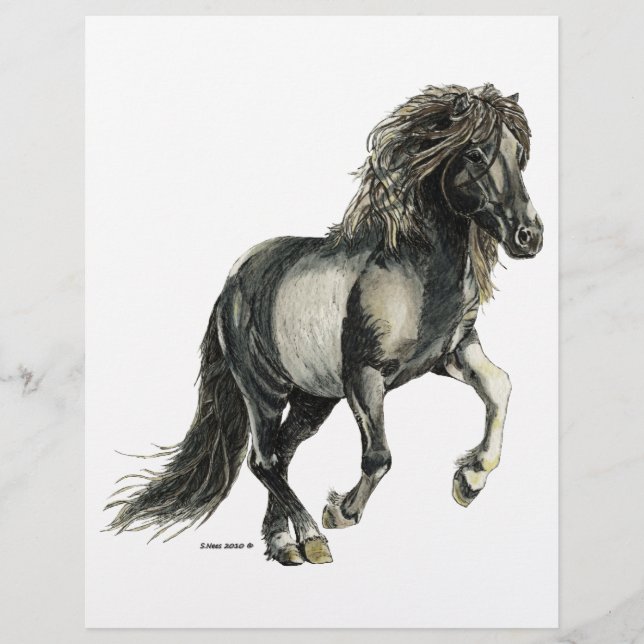 Mare islandaise Brana (Devant)