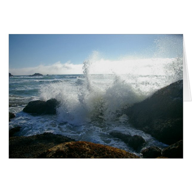 Marée entrante (Devant horizontal)
