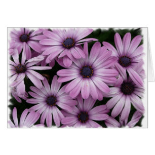 Marguerite