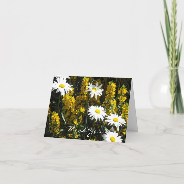 Marguerite blanche Merci (Devant)