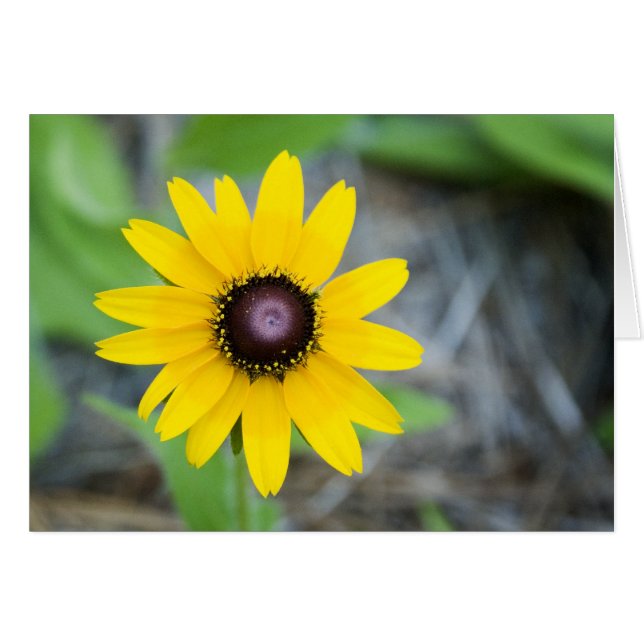 Marguerite de flottement (Devant Horizontal)