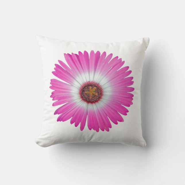 Marguerite de Shasta de coussin dans des "roses (Recto)