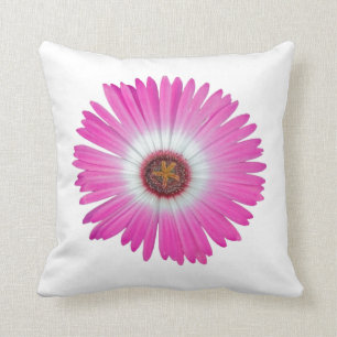 Marguerite de Shasta de coussin dans des "roses