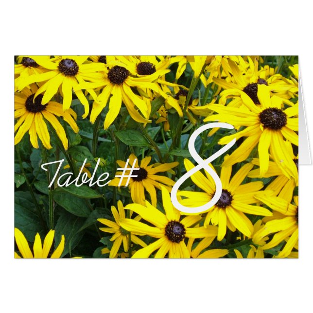 marguerite d'été jaune fleurs dîner numéro de tabl (Devant Horizontal)