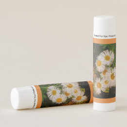 Marguerite en fleurs