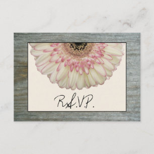 Marguerite et Barnwood de Gerbera épousant RSVP