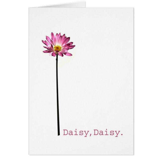 Marguerite, marguerite (Devant)