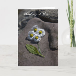 "Marguerite" pensant à vous. Carte