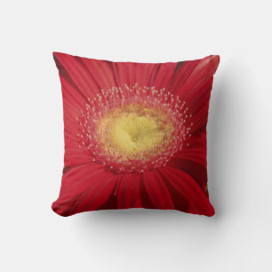 marguerite rouge : coussin rouge presque solide